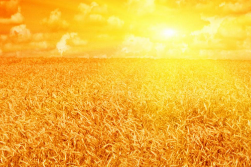 五行属金适合做什么行业 五行属金适合做什么行业