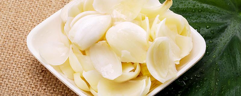 梦见种百合预示什么 梦见种百合是什么意思